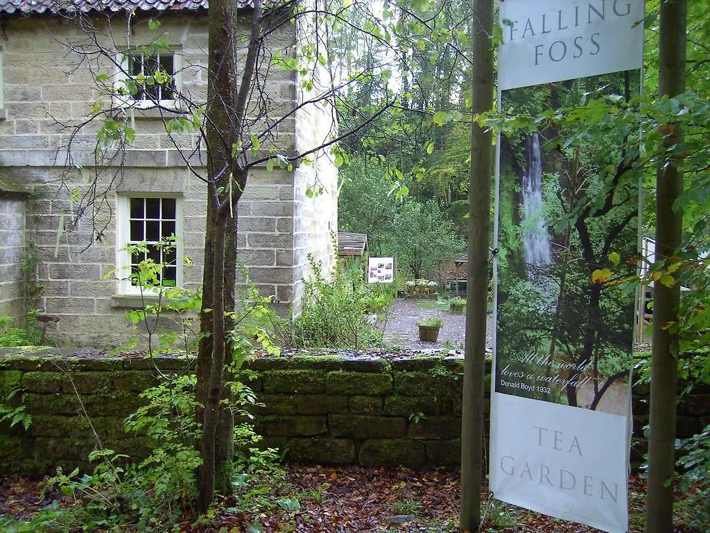 Thorpe House Vegetarian 3* روبن هودز باي