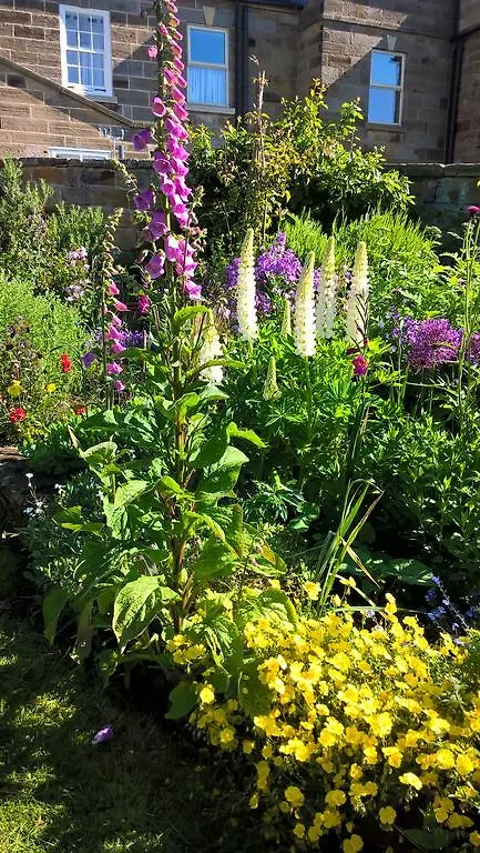 فندق مبيت وإفطار Thorpe House Vegetarian روبن هودز باي