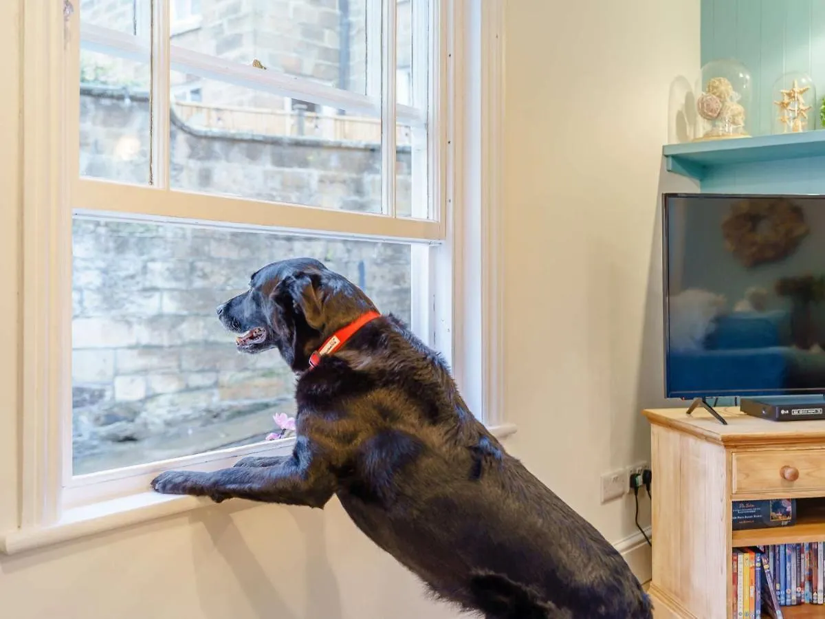 3 Bed In Robin Hoods Bay 89568 *