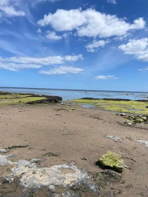 Frida By The Sea * Robin Hood's Bay