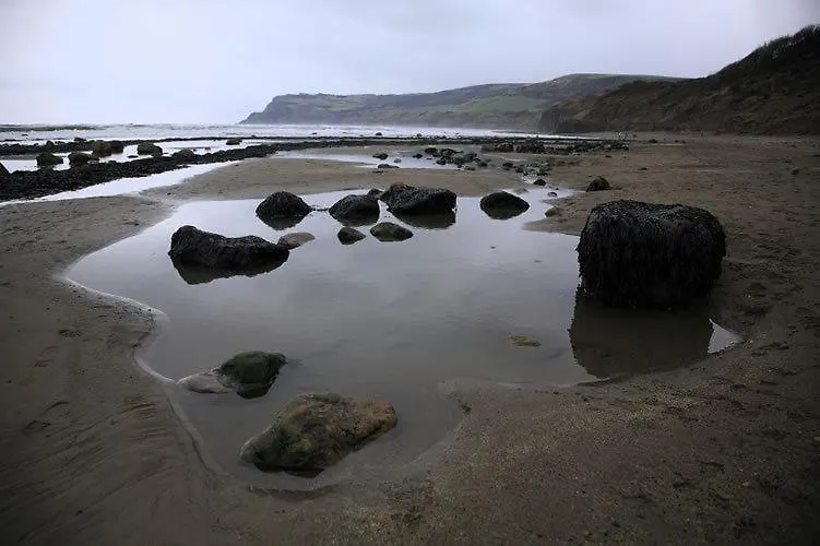 Bed & Breakfast Northcliff Robin Hood's Bay