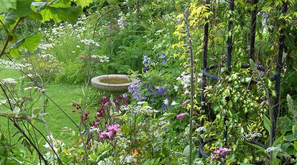 Frühstückspension Thorpe House Vegetarian
