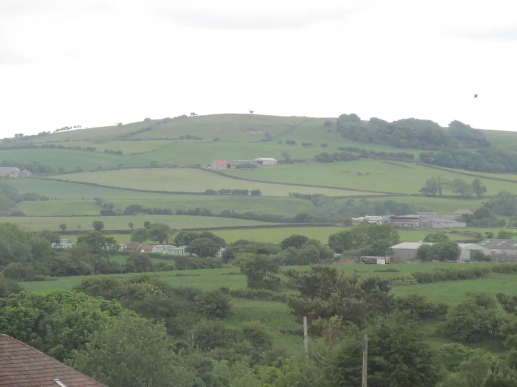 Birtley House Bed & Breakfast