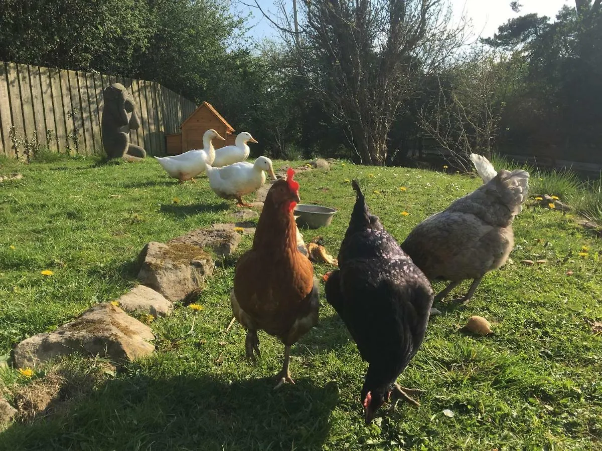 Hébergement de vacances Low Flask Farm Holiday Cottages